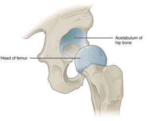 What To Do If Your Hip Pops Out of Place | Houston Physicians' Hospital